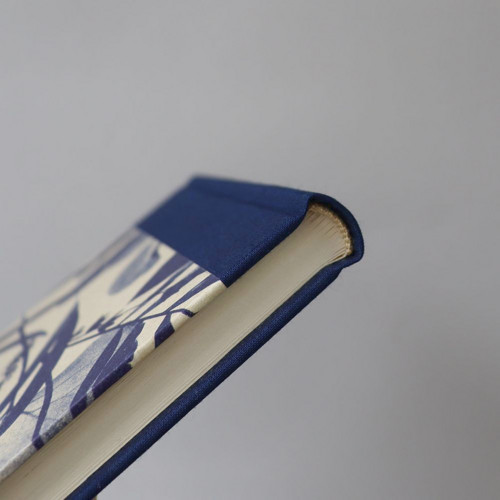 Notes Modrásek — foto 4