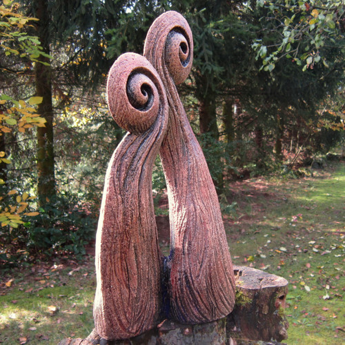 Dvě kapradiny — foto 2