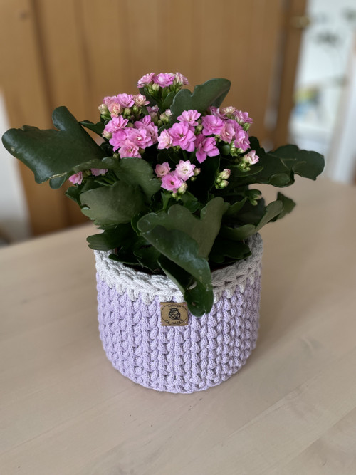 Háčkovaný košík — foto 2
