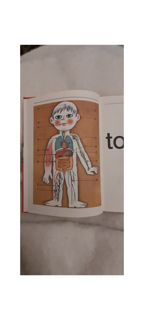 Něco o tobě — foto 4