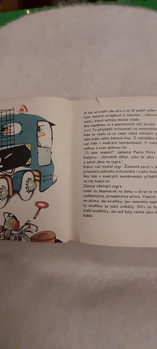 Neuvěřitelné příhody plyšového tygra — foto 3