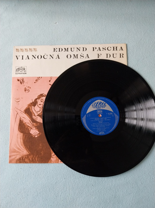 Gramofonová LP deska — foto 2