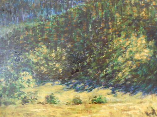 Léto — foto 2