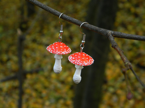 Muchomůrky — foto 3