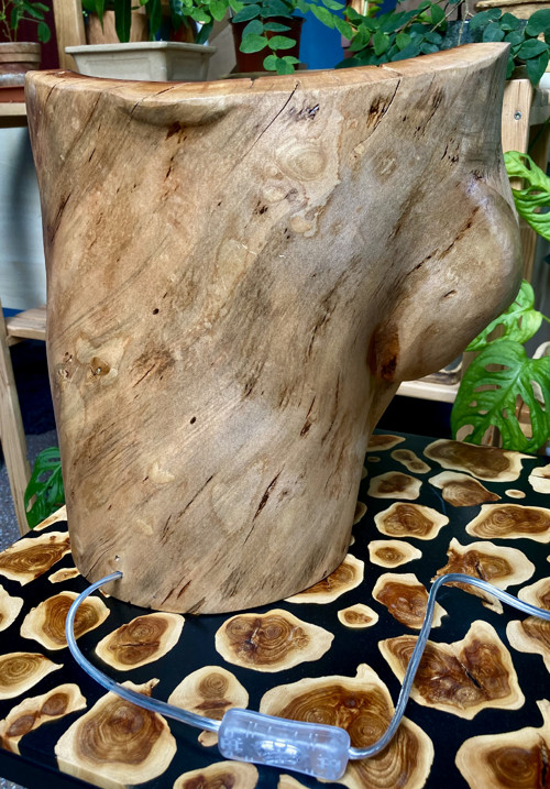 Lampa — foto 3