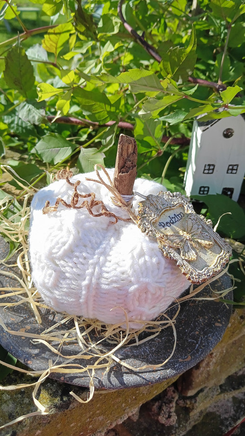 Bílá dýně Podzim — foto 6