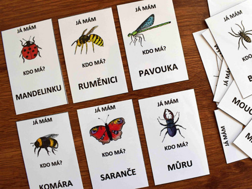 JÁ MÁM, KDO MÁ - hmyz + pavouk — foto 5