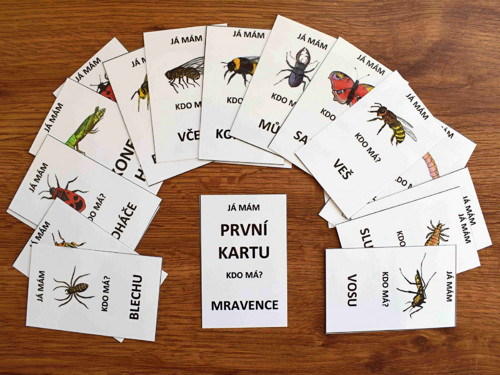 JÁ MÁM, KDO MÁ - hmyz + pavouk — foto 3