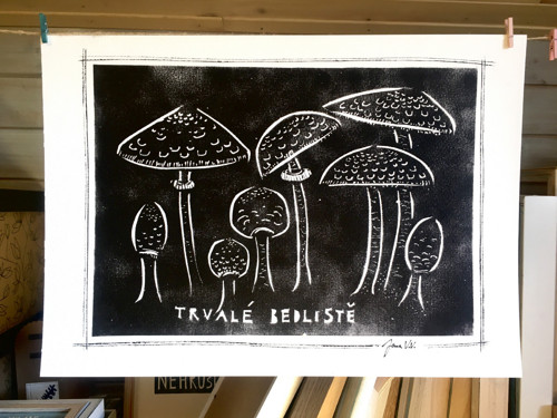 Trvalé bedliště — foto 2