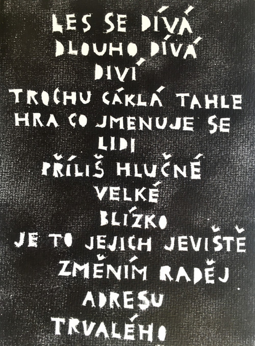 Trvalé bedliště - textový obrázek — foto 4