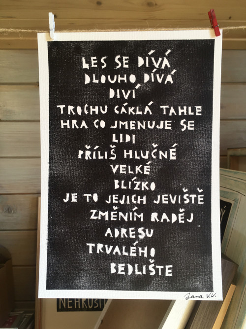 Trvalé bedliště - textový obrázek — foto 2