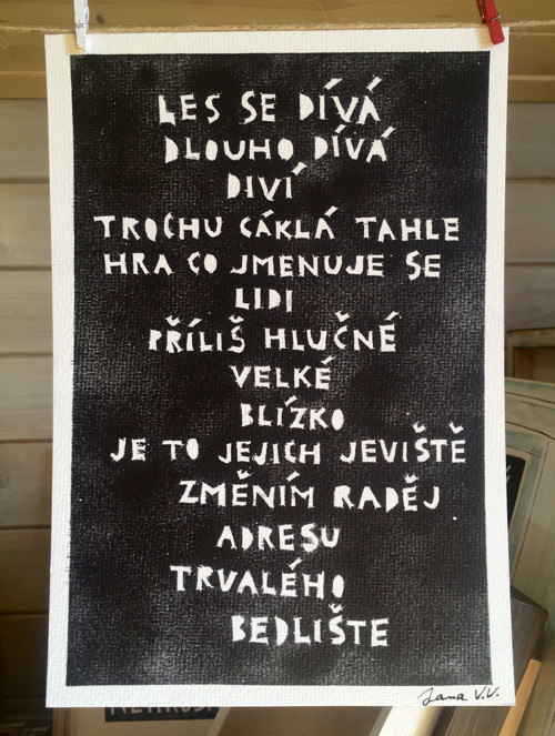 Trvalé bedliště - textový obrázek — foto 3
