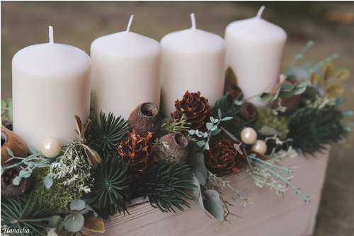 Adventní truhlíček bílý, trvalý — foto 3