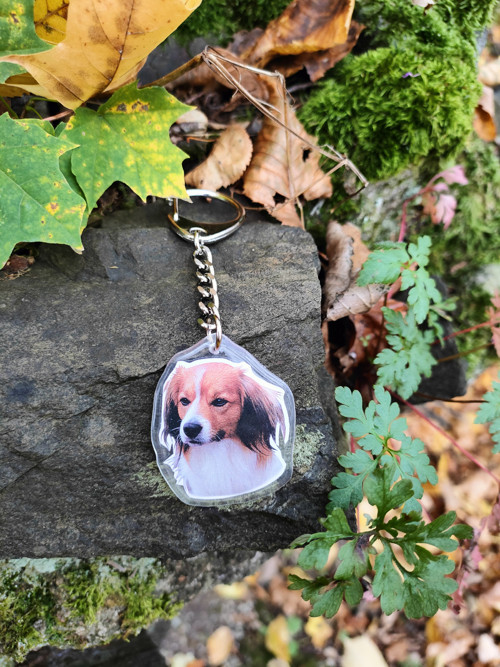 Klíčenka s kooikerhondje — foto 2