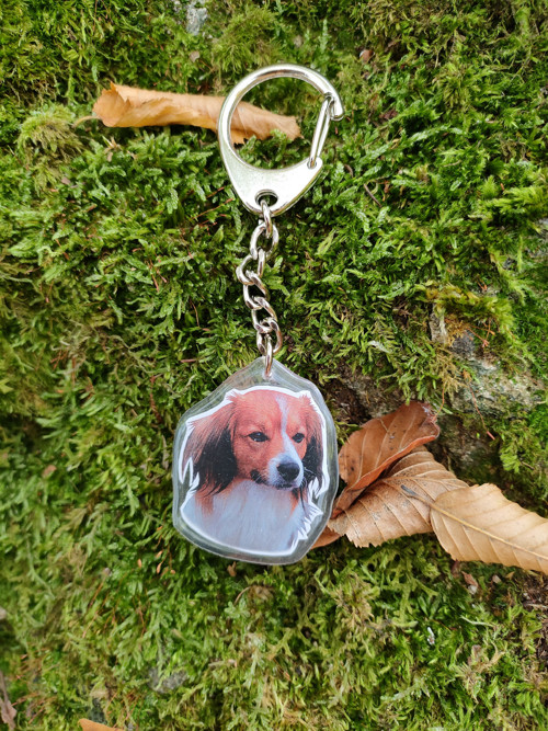 Klíčenka s kooikerhondje — foto 3