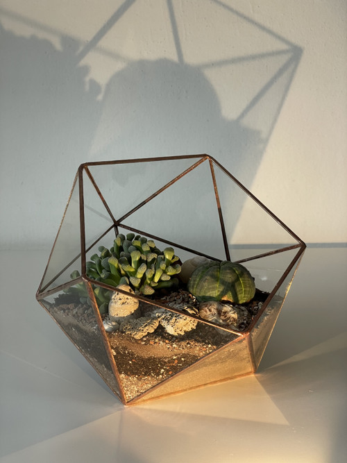 Florarium "Koulička velká" — foto 4