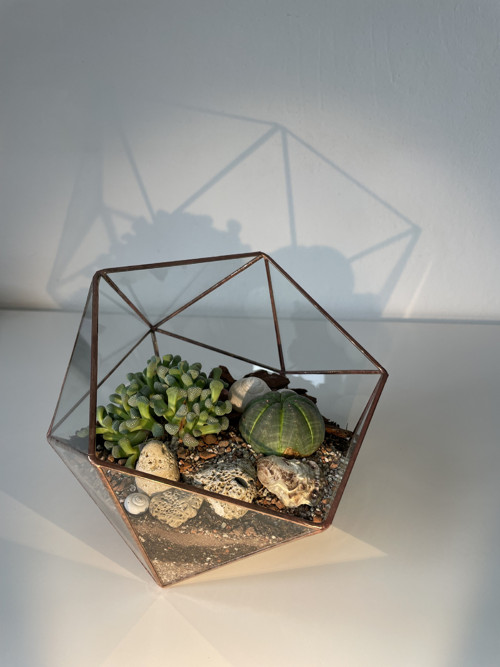 Florarium "Koulička velká" — foto 3