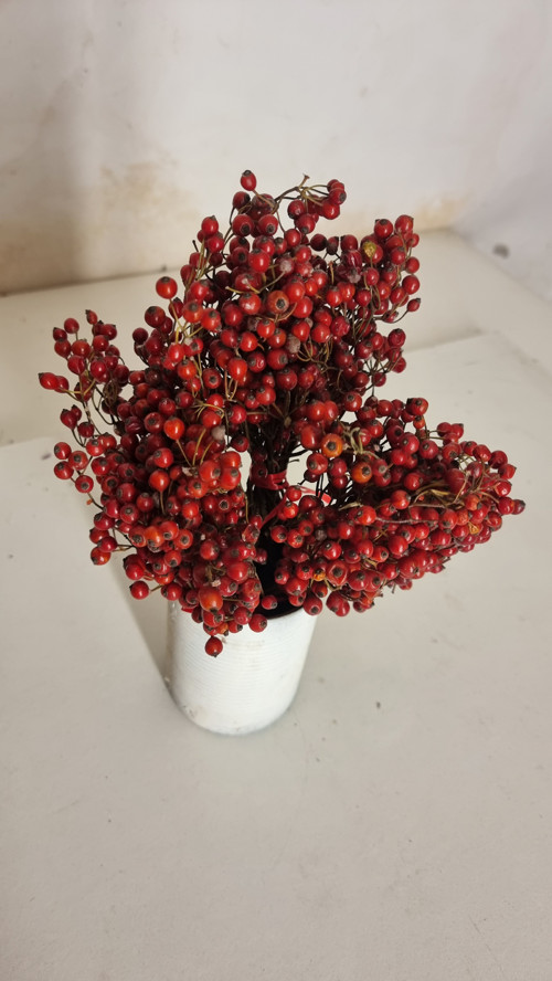 Kytička šípková mini okrasné kuličky — foto 3