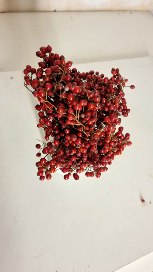 Kytička šípková mini okrasné kuličky — foto 5