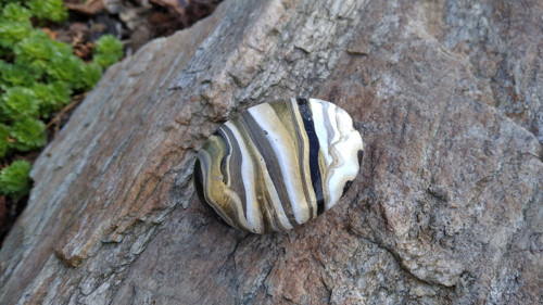 Pouring kámen zlatý — foto 3