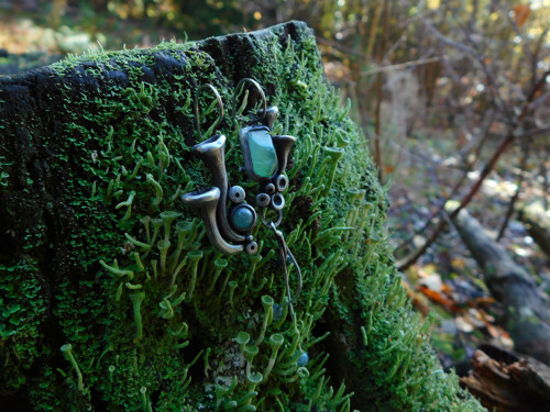 Cladonia fimbriata... — foto 3