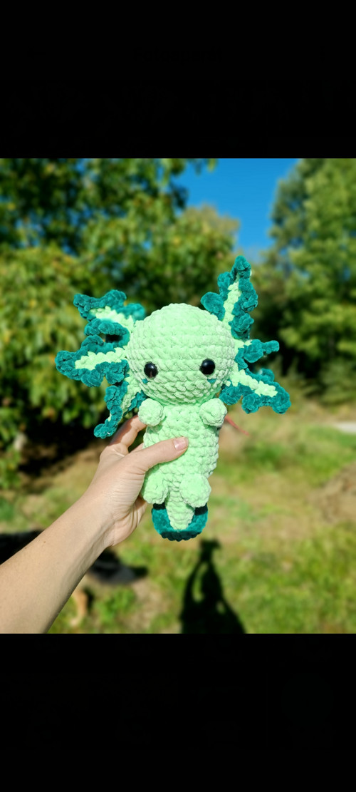 Háčkovaný axolotl — foto 3