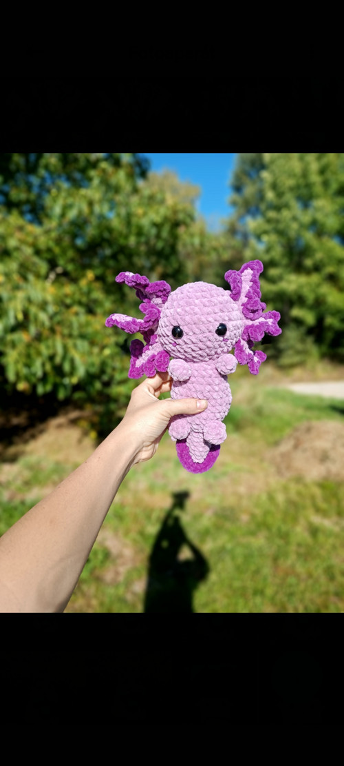 Háčkovaný axolotl — foto 5