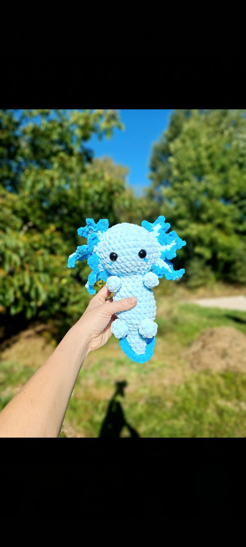 Háčkovaný axolotl — foto 4