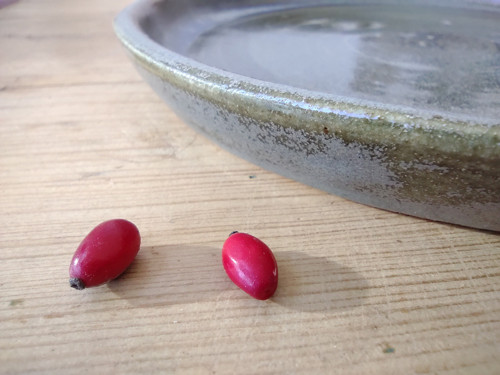 Dezertní talíř — foto 3