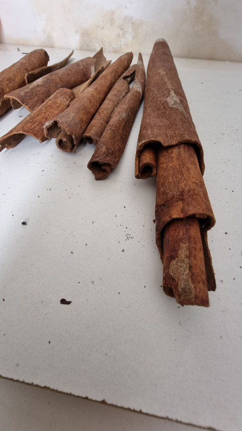 Extra velká exotická skořice 1 kus — foto 5