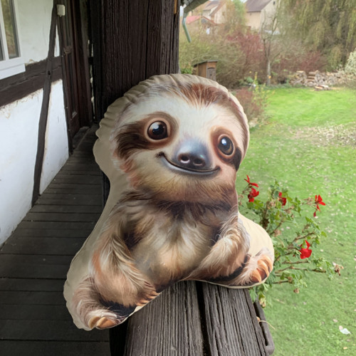 Polštář 3D - Lenochod — foto 2