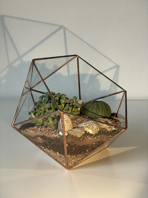 Florarium "Koulička velká" — foto 2