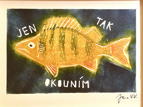 Jen tak okounim — foto 3