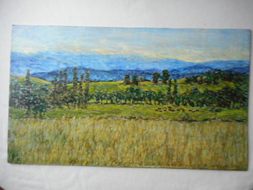 Letní ráno — foto 4