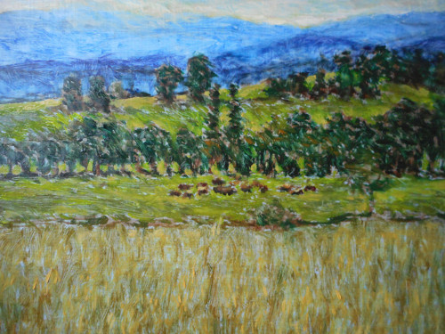 Letní ráno — foto 3