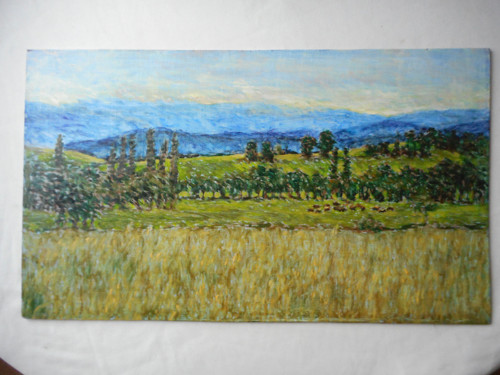 Letní ráno — foto 5