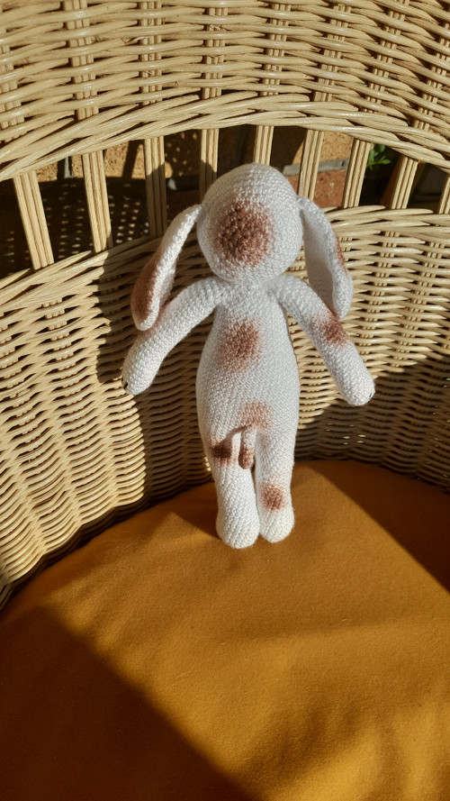 Pejsek — foto 3