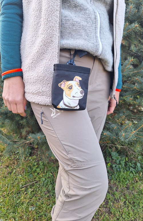 Pamlskovník Jack Russell — foto 4