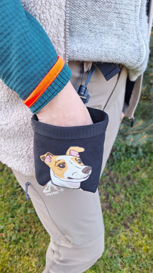 Pamlskovník Jack Russell — foto 3