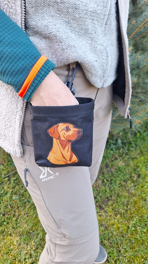 Pamlskovník Rhodesian Ridgeback — foto 4