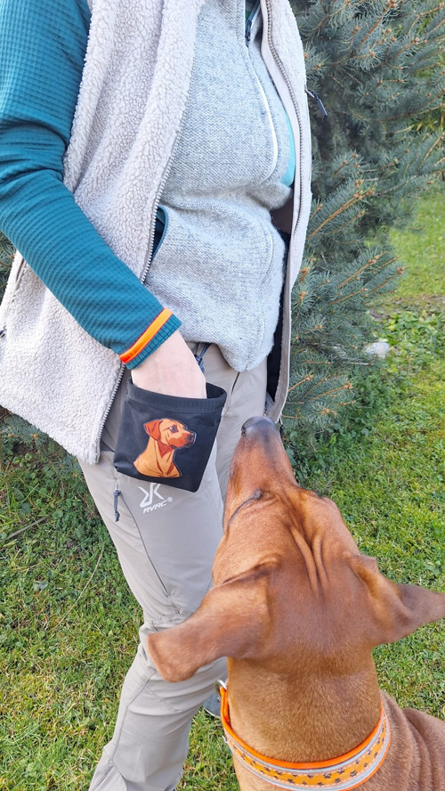 Pamlskovník Rhodesian Ridgeback — foto 3