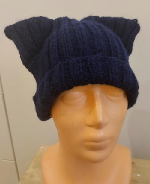 Pro Petru — foto 2