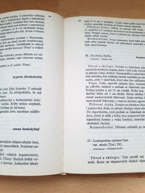 Skalničky — foto 5