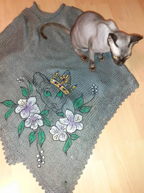 Pončo šedé kočka Sphynx — foto 4
