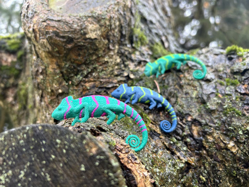 Chameleon greenblue/green — foto 2