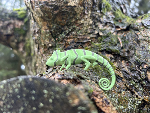 Chameleon silk green/green — foto 3