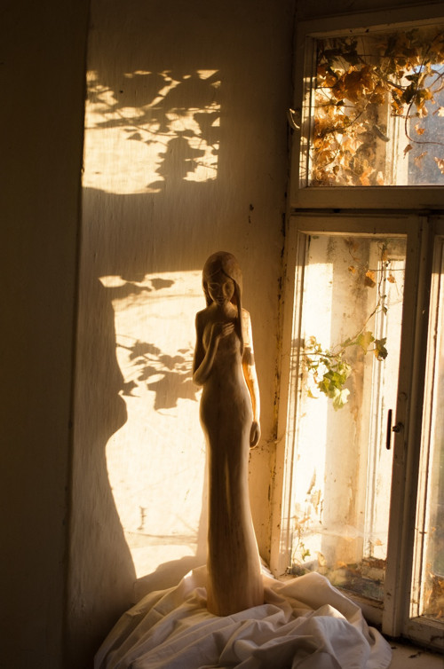 Lipová pokora — foto 2