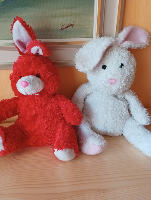 Králíci z klobouku — foto 2
