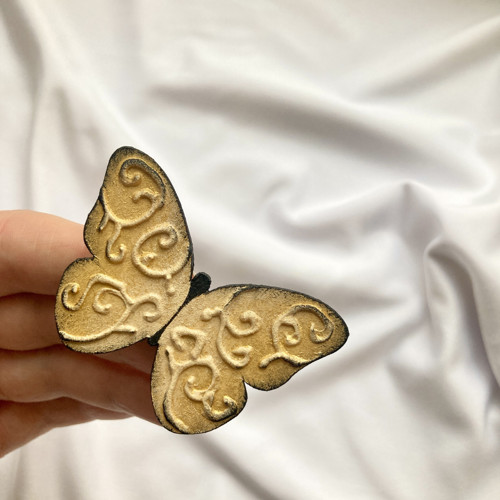 Brož Na křídlech ornamentů — foto 3