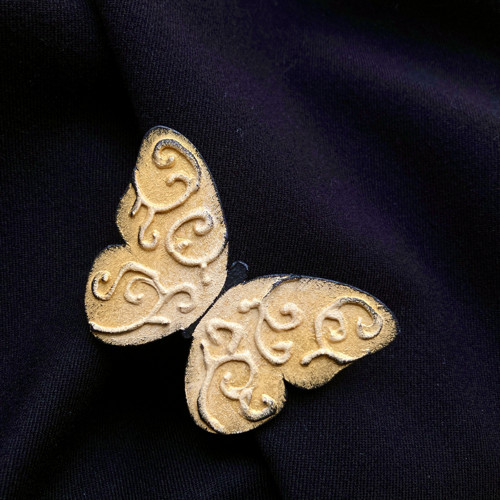 Brož Na křídlech ornamentů — foto 2